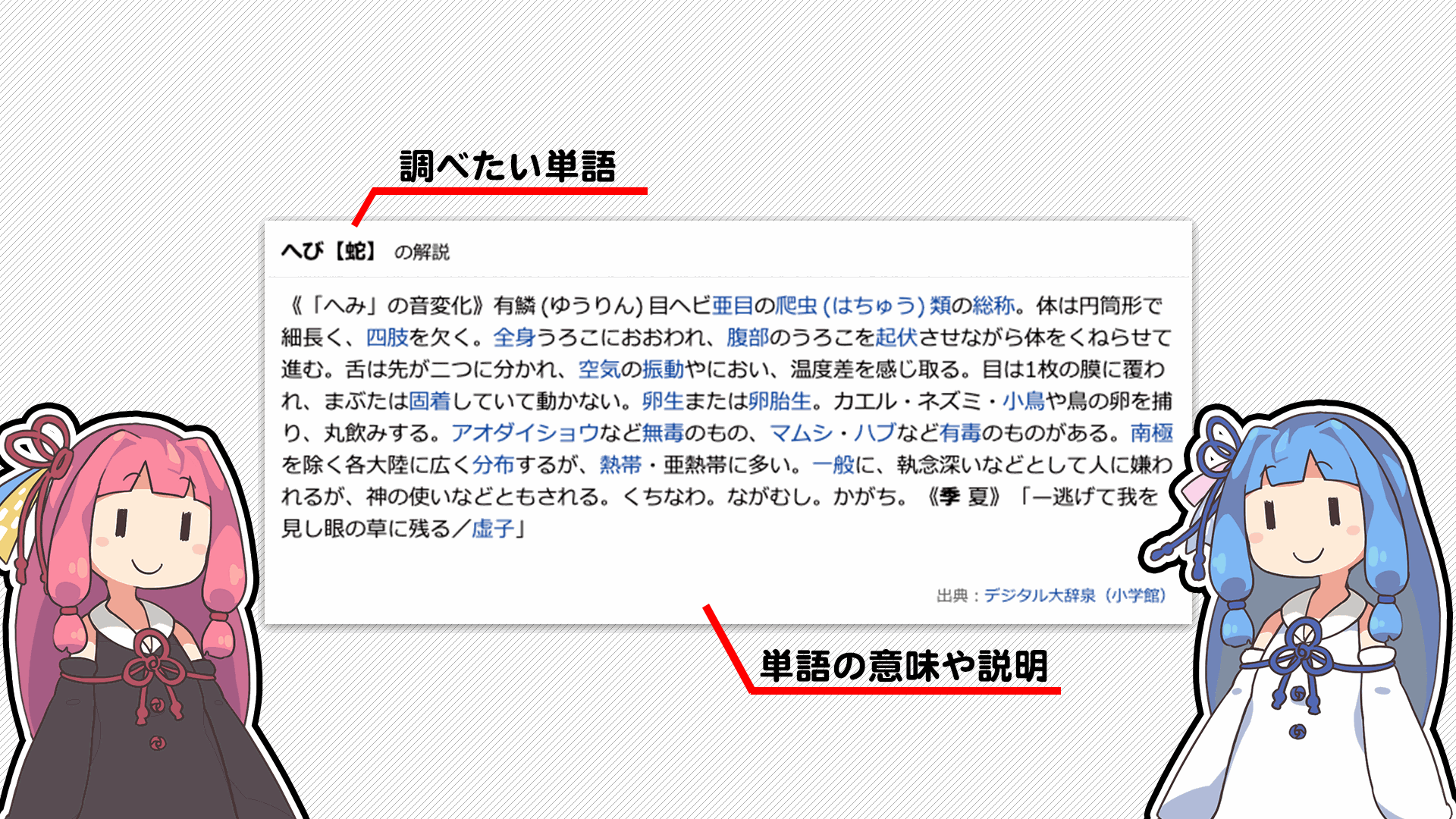 解説画像1