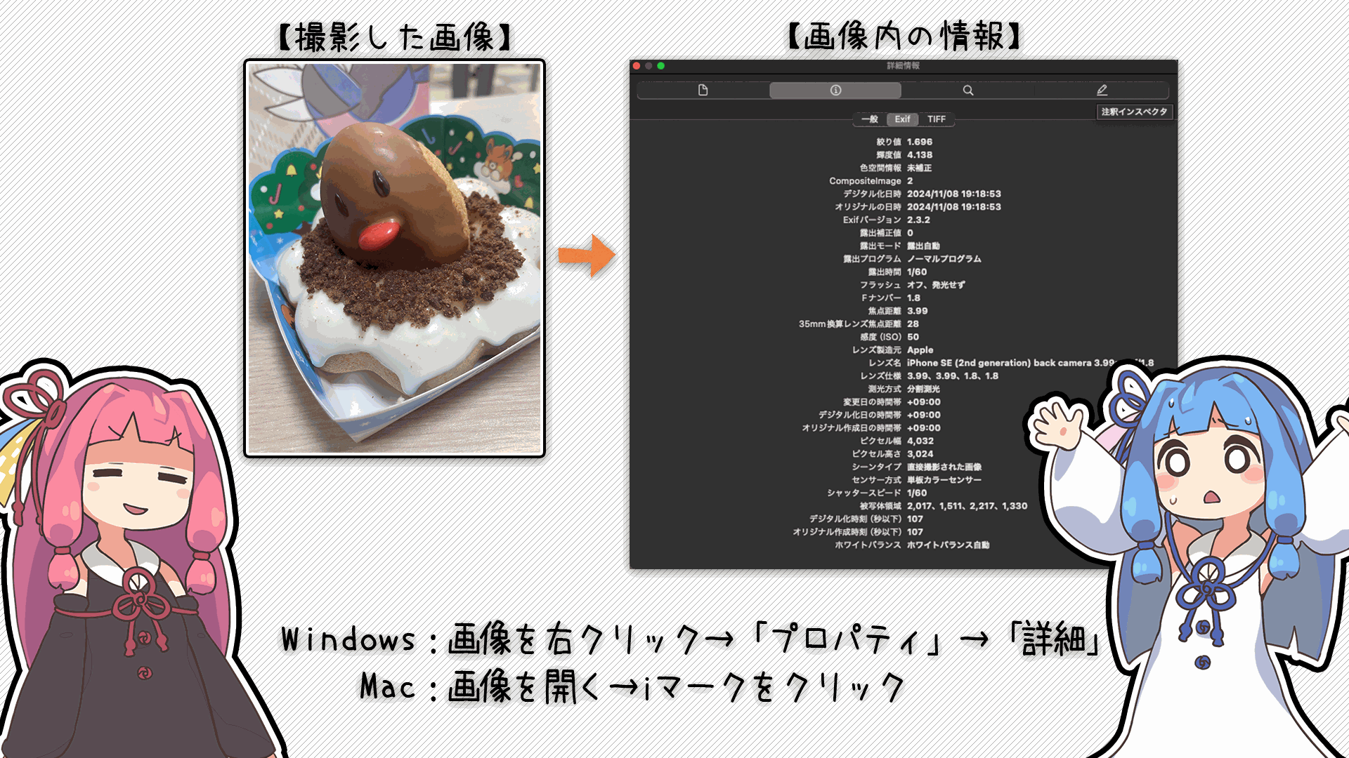 解説画像3