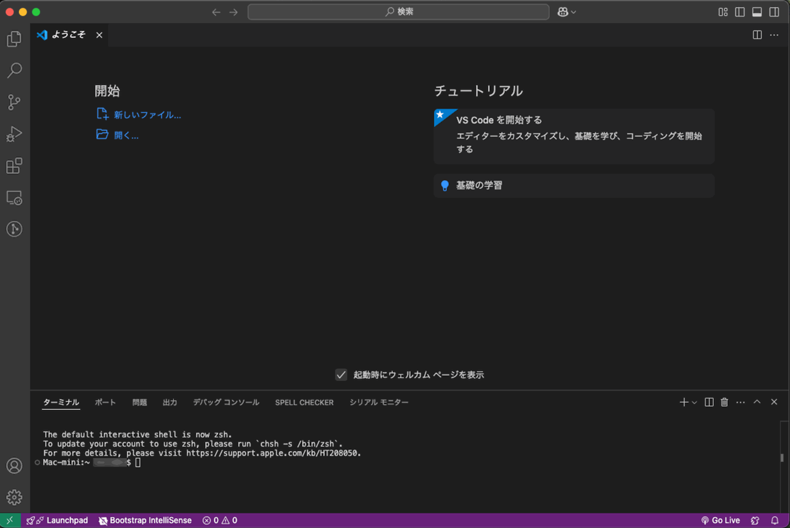 VSCode起動
